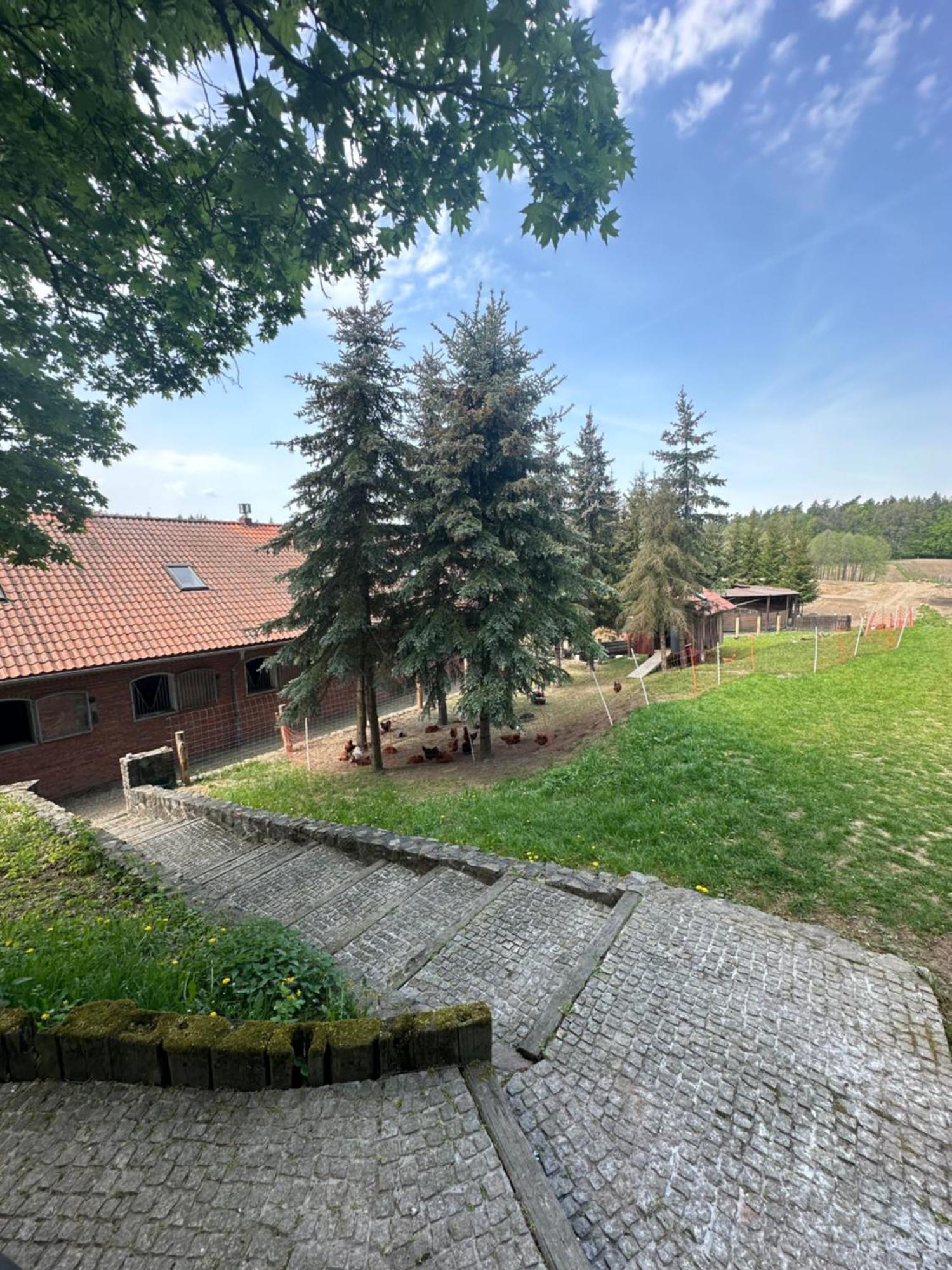Villa Stajnia Lipowo 45 Exterior foto