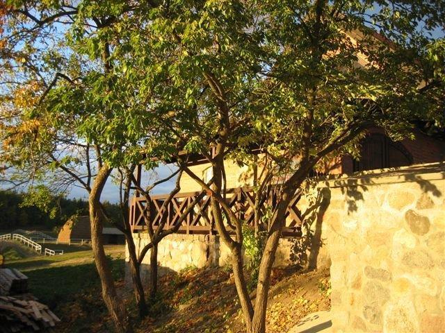 Villa Stajnia Lipowo 45 Exterior foto